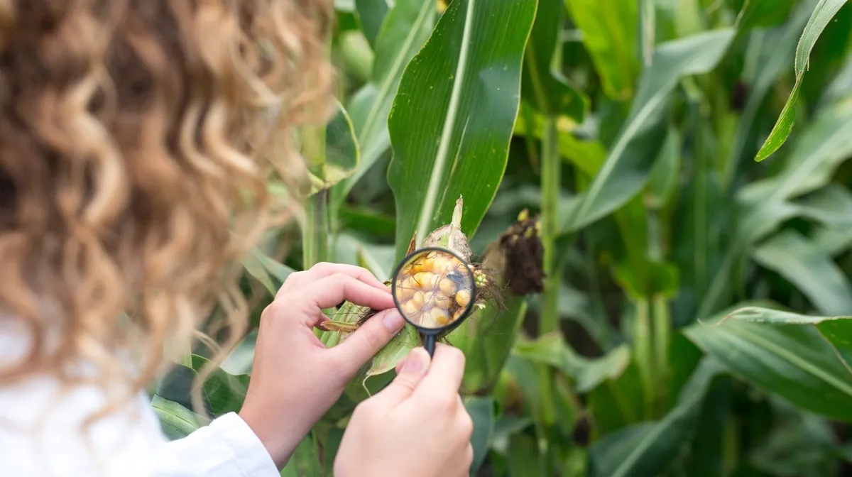 Presentación del Manifiesto de Paz con la Naturaleza — Gobierno de Colombia COP16